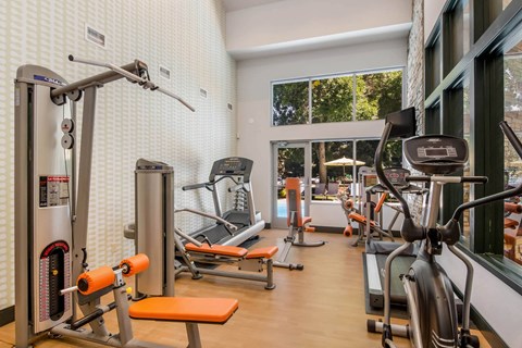 Fitness Center With Modern Equipment at Governor's Park, Fort Collins, 80525